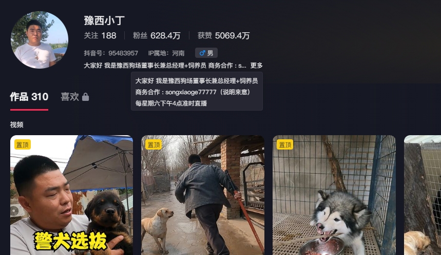 豫西小丁:全網(wǎng)“人仗狗勢”第一人-59愛分享